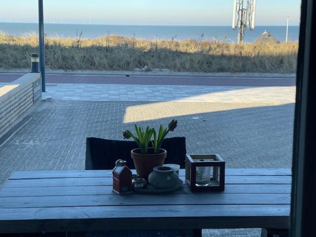 B&B Zeespiegel Zandvoort Esterno foto