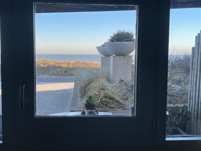 B&B Zeespiegel Zandvoort Esterno foto