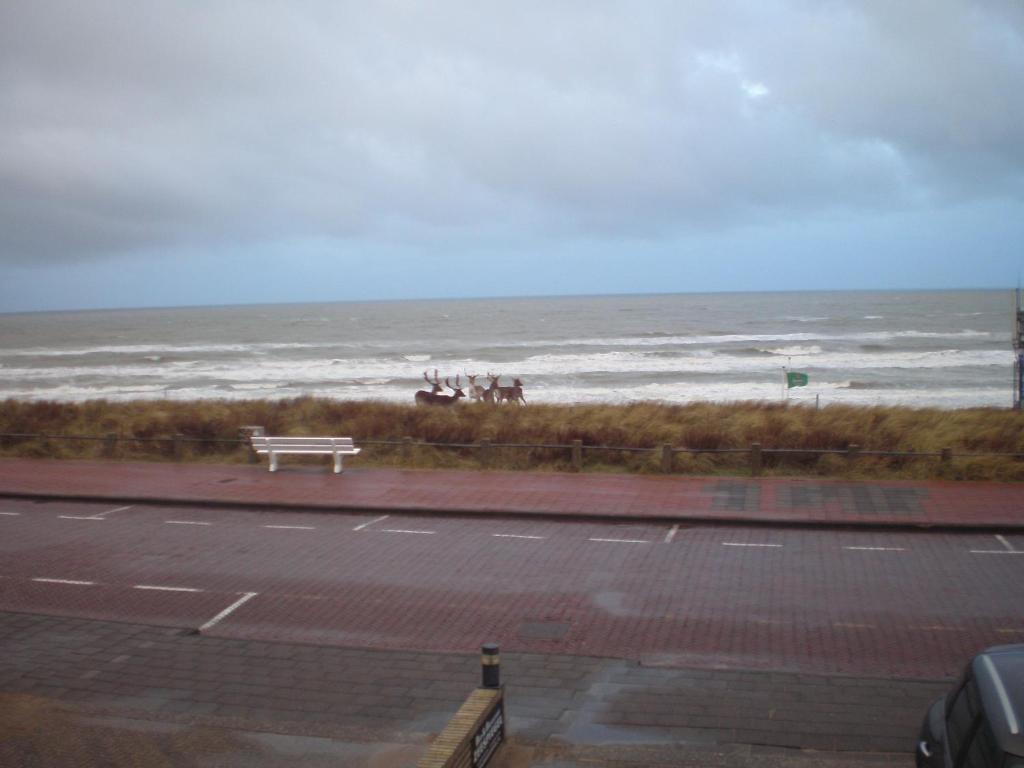 B&B Zeespiegel Zandvoort Camera foto